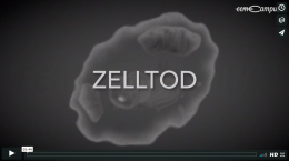 Die Definition des Zelltodes