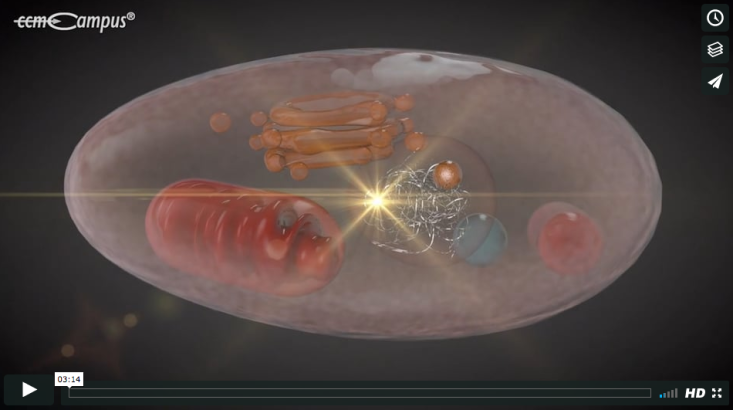 page.title Vorschaubild