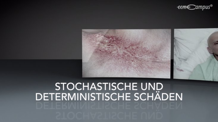 page.title Vorschaubild